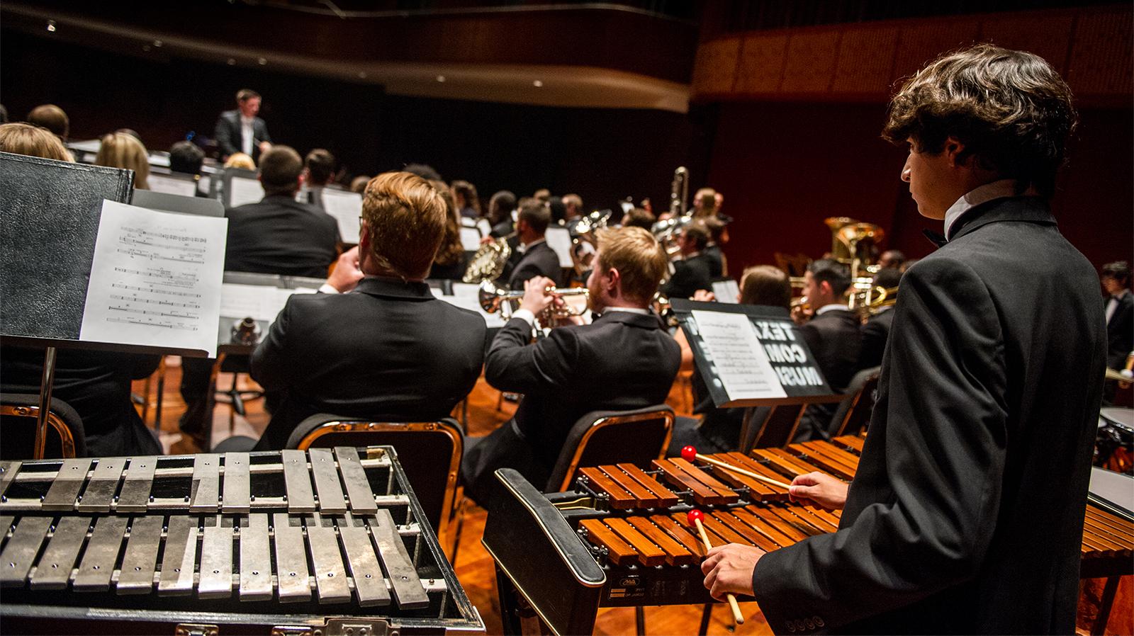 Individual playing in an orchestra.